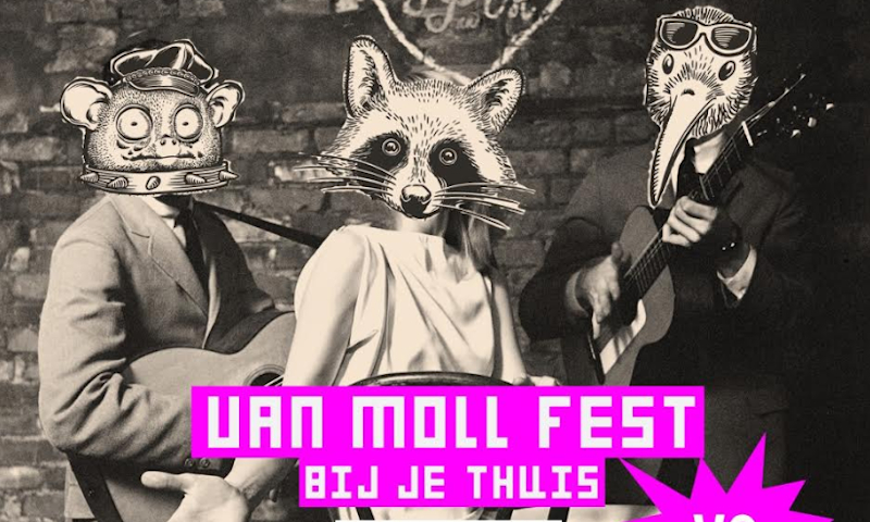 Van Moll Fest Online